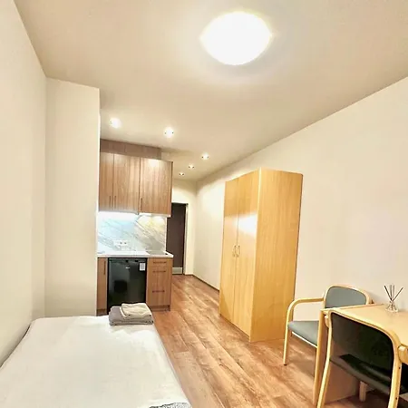 312 Nokitchen Sgl Apartment *