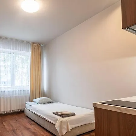 312 Nokitchen Sgl Apartment